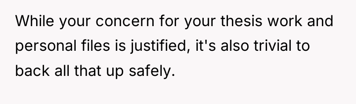 While your concern for your thesis work and personal files...