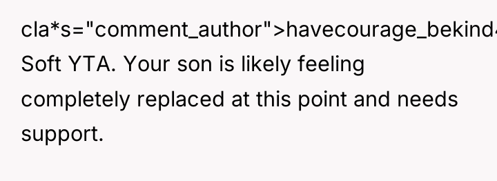 cla*s="comment_author">havecourage_bekind4: Soft YTA. Your son is likely feeling completely replaced...