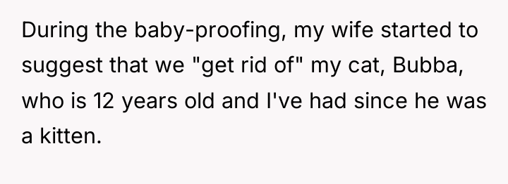 During the baby-proofing, my wife started to suggest that we...