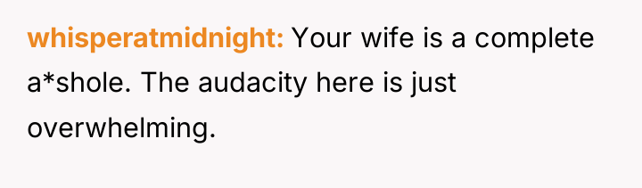 whisperatmidnight Your wife is a complete a*shole. The audacity here...
