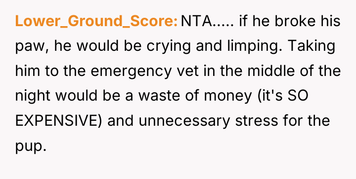 Lower_Ground_Score NTA..... if he broke his paw, he would be...