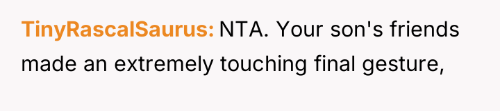 TinyRascalSaurus NTA. Your son's friends made an extremely touching final...