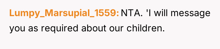 Lumpy_Marsupial_1559 NTA. 'I will message you as required about our...