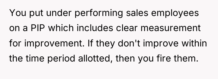 You put under performing sales employees on a PIP which...
