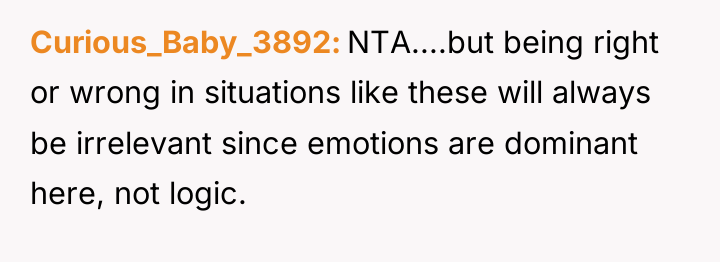 Curious_Baby_3892 NTA....but being right or wrong in situations like these...