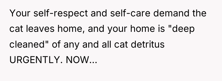 Your self-respect and self-care demand the cat leaves home, and...