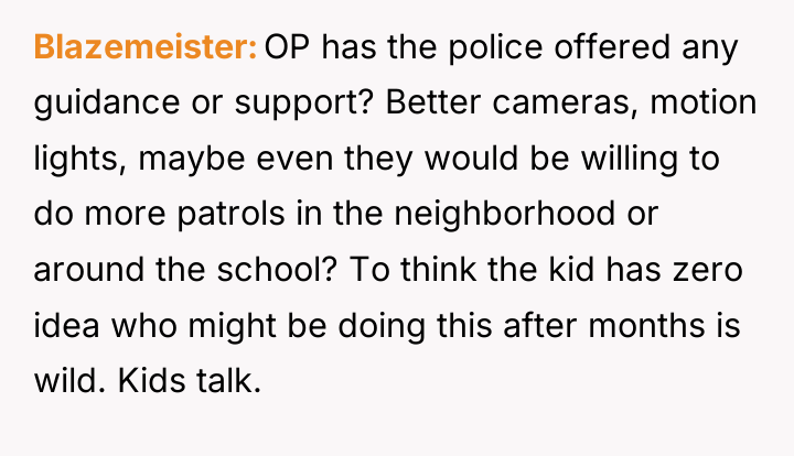 Blazemeister OP has the police offered any guidance or support?...
