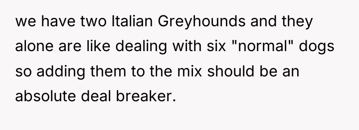 we have two Italian Greyhounds and they alone are like...