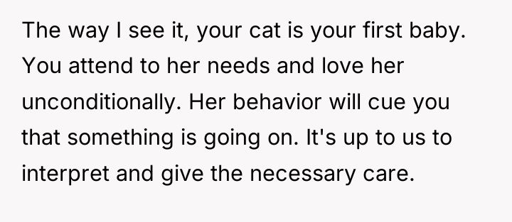 The way I see it, your cat is your first...