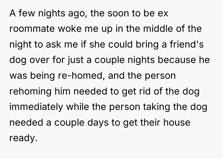 A few nights ago, the soon to be ex roommate...