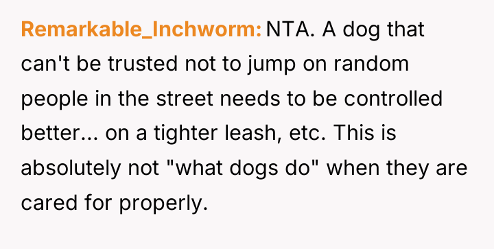 Remarkable_Inchworm NTA. A dog that can't be trusted not to...