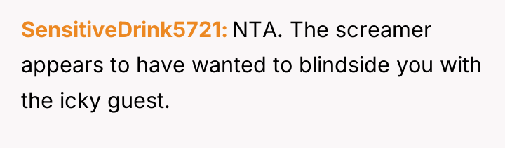 SensitiveDrink5721 NTA. The screamer appears to have wanted to blindside...