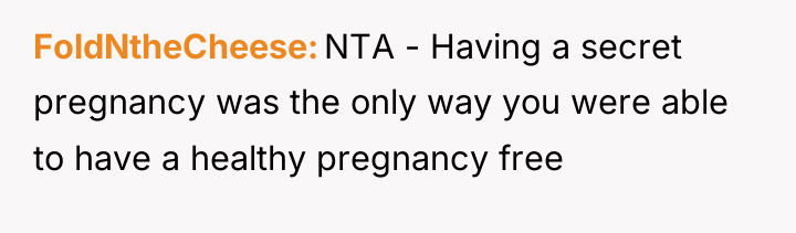 FoldNtheCheese NTA - Having a secret pregnancy was the only...