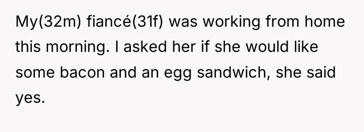 My(32m) fiancé(31f) was working from home this morning. I asked...