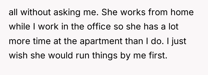 all without asking me. She works from home while I...