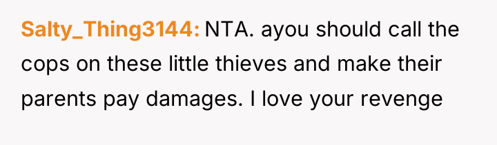 Salty_Thing3144 NTA. ayou should call the cops on these little...