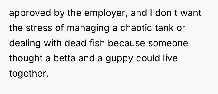 approved by the employer, and I don't want the stress...