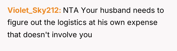 Violet_Sky212 NTA Your husband needs to figure out the logistics...