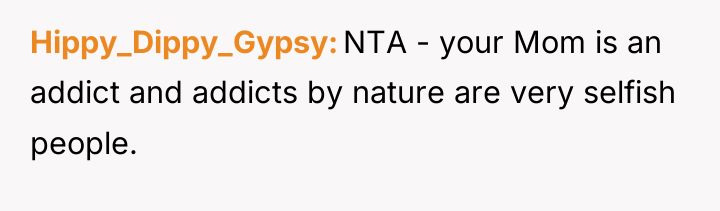 Hippy_Dippy_Gypsy NTA - your Mom is an addict and addicts...