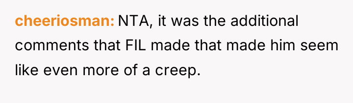 cheeriosman NTA, it was the additional comments that FIL made...