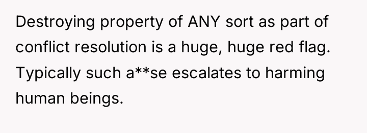 Destroying property of ANY sort as part of conflict resolution...