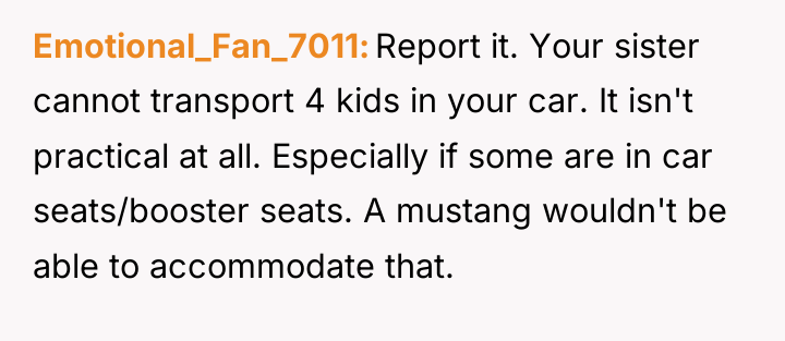 Emotional_Fan_7011 Report it. Your sister cannot transport 4 kids in...