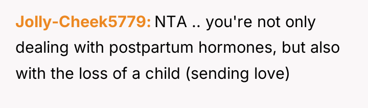 Jolly-Cheek5779 NTA .. you're not only dealing with postpartum hormones,...