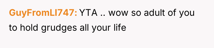 GuyFromLI747 YTA .. wow so adult of you to hold...