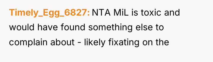 Timely_Egg_6827 NTA MiL is toxic and would have found something...
