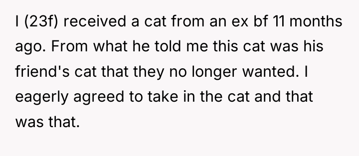 I (23f) received a cat from an ex bf 11...