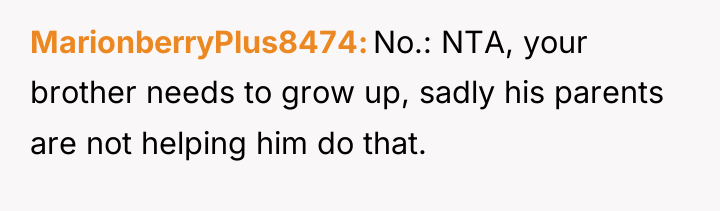 MarionberryPlus8474 No.: NTA, your brother needs to grow up, sadly...