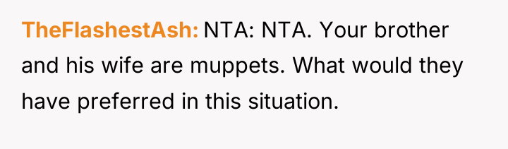 TheFlashestAsh NTA: NTA. Your brother and his wife are muppets....