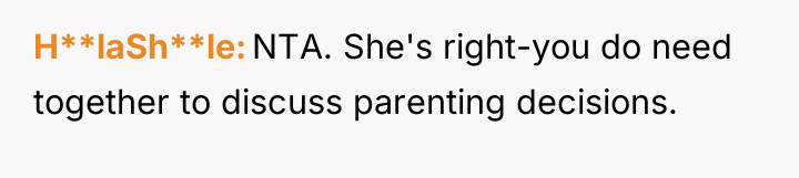 H**laSh**le NTA. She's right-you do need together to discuss parenting...