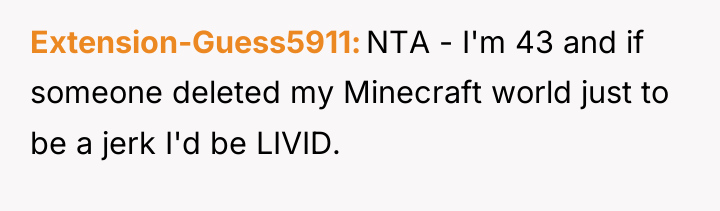 Extension-Guess5911 NTA - I'm 43 and if someone deleted my...