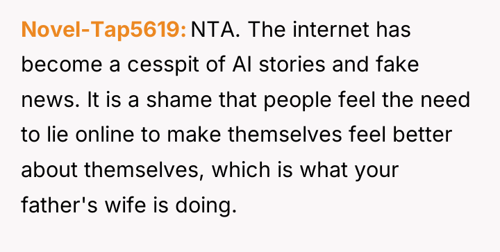 Novel-Tap5619 NTA. The internet has become a cesspit of AI...