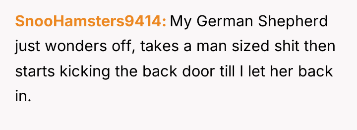 SnooHamsters9414 My German Shepherd just wonders off, takes a man...
