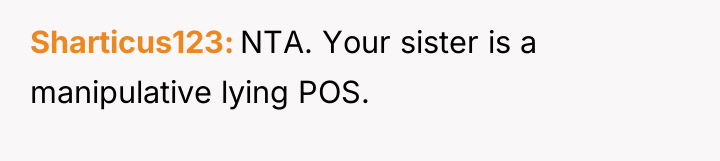 Sharticus123 NTA. Your sister is a manipulative lying POS.