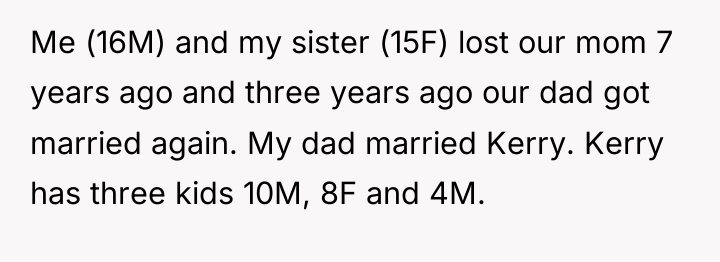 Me (16M) and my sister (15F) lost our mom 7...