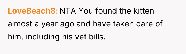 LoveBeach8 NTA You found the kitten almost a year ago...