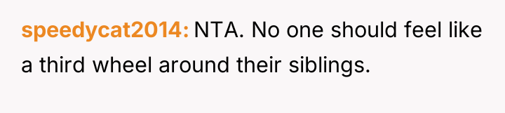 speedycat2014 NTA. No one should feel like a third wheel...