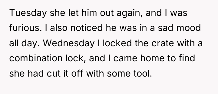 Tuesday she let him out again, and I was furious....