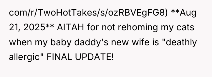 com/r/TwoHotTakes/s/ozRBVEgFG8) **Aug 21, 2025** AITAH for not rehoming my cats...