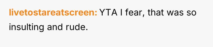 livetostareatscreen YTA I fear, that was so insulting and rude.