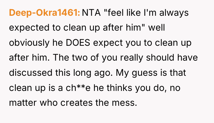 Deep-Okra1461 NTA "feel like I'm always expected to clean up...