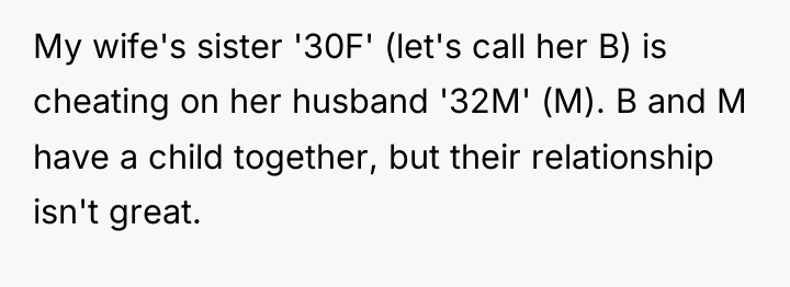 My wife's sister '30F' (let's call her B) is cheating...