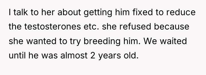 I talk to her about getting him fixed to reduce...