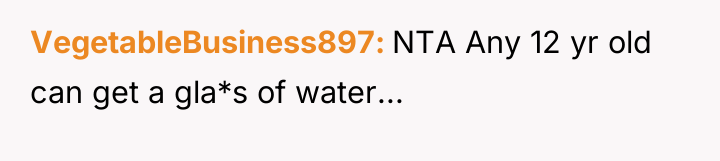 VegetableBusiness897 NTA Any 12 yr old can get a gla*s...