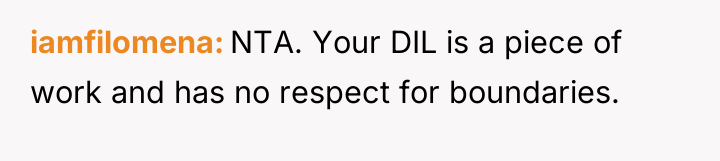 iamfilomena NTA. Your DIL is a piece of work and...