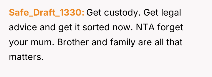 Safe_Draft_1330 Get custody. Get legal advice and get it sorted...