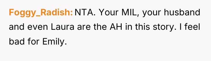 Foggy_Radish NTA. Your MIL, your husband and even Laura are...